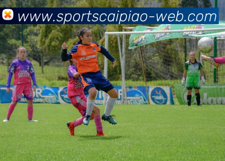 文班的强力冲击让科内特惊叹他或将蜕变为篮球场上的怪兽