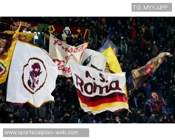 重罚决定罗马与紫百合球迷本赛季禁止客场观赛引发热议 重罚决定罗马与紫百合球迷本赛季禁止客场观赛引发热议